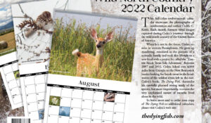 “Wild North Country 2022 Calendar” Now Available